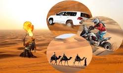 dubai safari tour with bus