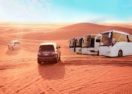bus for safari tour